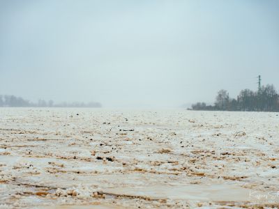 Fotogrāfs Kaspars Siliņš