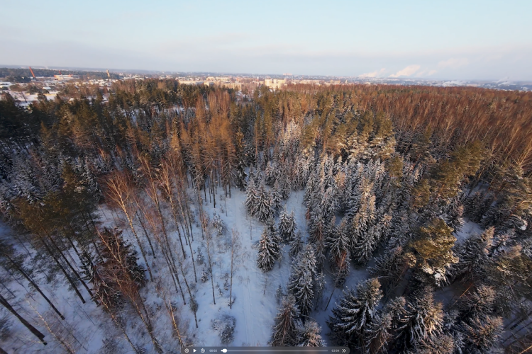 Ziemas saulriets mežaparkā