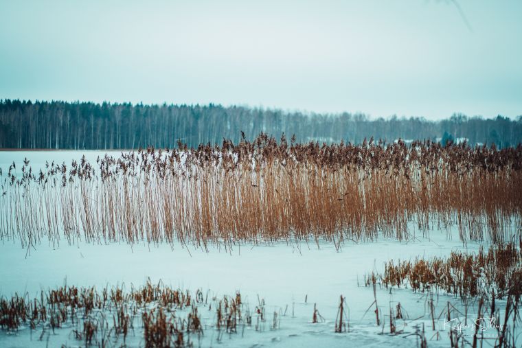 7 soļi svaiga gaisa