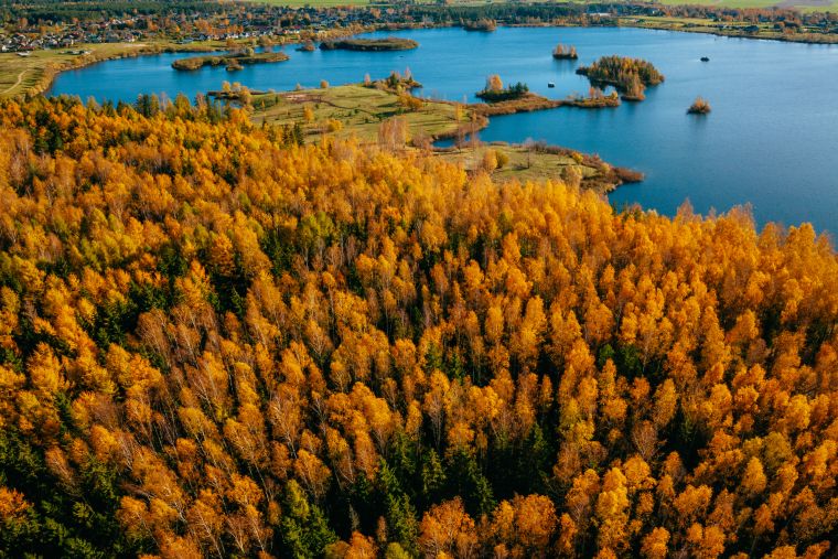 Zelta rudens Jēkabpilī