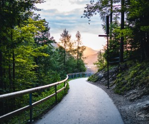 Neuschwanstein - Bavaria